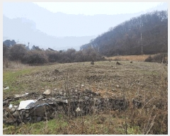  2024Ÿ��90241 ��� ��õ�� û��� ��ź�� 959      ����(��1)���