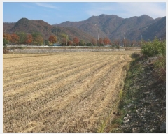  2024Ÿ��6420  ����