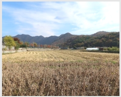  2024Ÿ��6420  ����