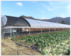  2024Ÿ��6420  ����