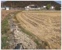  2024Ÿ��6420  ����