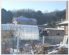  2024Ÿ7058  ֽ ϵ 372-10       ð