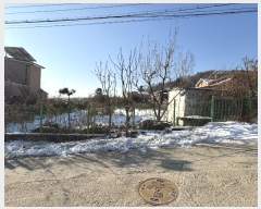  2024Ÿ��7317  ����