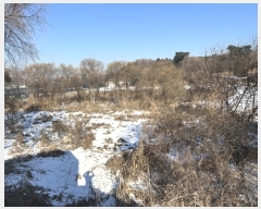  2024Ÿ��7317  ����