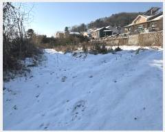  2024Ÿ��7317  ����