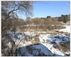  2024Ÿ��7317  ����