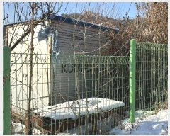  2024Ÿ��7317  ����