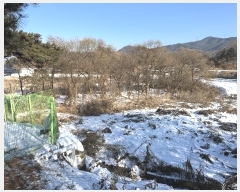  2024Ÿ��7317  ����