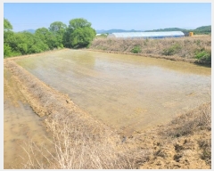  2024Ÿ��76337 ���� ö���� ö���� ������ 141-2      ����(��)���