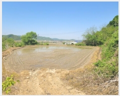  2024Ÿ��76337 ���� ö���� ö���� ������ 141-2      ����(��)���