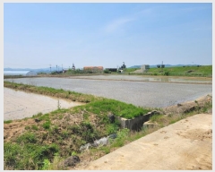  2024Ÿ��76337 ���� ö���� ö���� ������ 141-2      ����(��)���