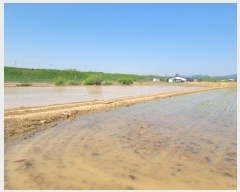  2024Ÿ��76337 ���� ö���� ö���� ������ 141-2      ����(��)���