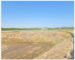  2024Ÿ��76337 ���� ö���� ö���� ������ 141-2      ����(��)���