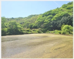  2024Ÿ��76337 ���� ö���� ö���� ������ 141-2      ����(��)���