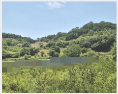  2024Ÿ77828  õ ¡  31      (Ӿ)