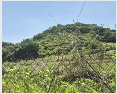  2024Ÿ77828  õ ¡  31      (Ӿ)