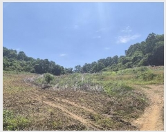  2024Ÿ77828  õ ¡  31      (Ӿ)