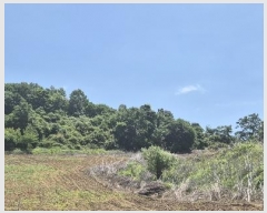  2024Ÿ77828  õ ¡  31      (Ӿ)