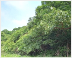  2024Ÿ77828  õ ¡  31      (Ӿ)