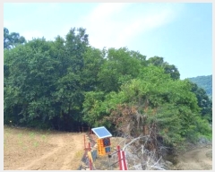  2024Ÿ77828  õ ¡  31      (Ӿ)