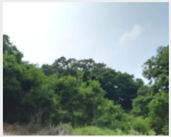  2024Ÿ77828  õ ¡  31      (Ӿ)