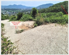  2024Ÿ80770  ֽ 鼮  595-36      ()