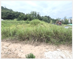  2024Ÿ��82479 ���� ö���� ������ ������ 340-3      ����(��1)���