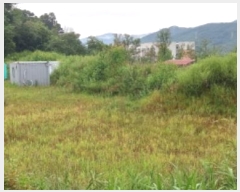  2024Ÿ��82479 ���� ö���� ������ ������ 340-3      ����(��1)���