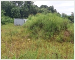  2024Ÿ��82479 ���� ö���� ������ ������ 340-3      ����(��1)���