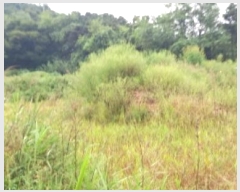  2024Ÿ��82479 ���� ö���� ������ ������ 340-3      ����(��1)���