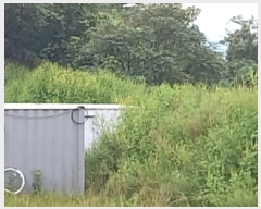  2024Ÿ��82479 ���� ö���� ������ ������ 340-3      ����(��1)���