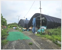  2024Ÿ��83311 ��� ��õ�� ������ ���� 842      ����(��)���