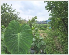  2024Ÿ��83311 ��� ��õ�� ������ ���� 842      ����(��)���