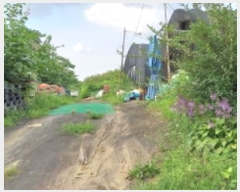  2024Ÿ��83311 ��� ��õ�� ������ ���� 842      ����(��)���