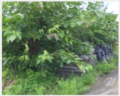  2024Ÿ��83311 ��� ��õ�� ������ ���� 842      ����(��)���