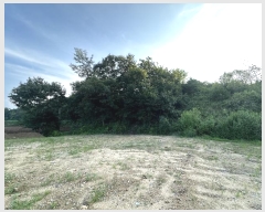  2024Ÿ��83687  �Ӿ߰��