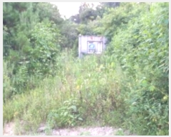  2024Ÿ��83687  �Ӿ߰��