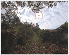  2024Ÿ88880  ֽ 浿 105-3       (Ӿ)