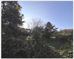  2024Ÿ88880  ֽ 浿 105-3       (Ӿ)