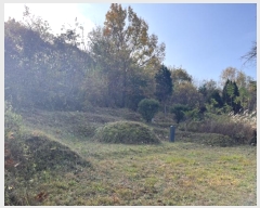  2024Ÿ88880  ֽ 浿 105-3       (Ӿ)