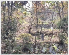  2024Ÿ88880  ֽ 浿 105-3       (Ӿ)