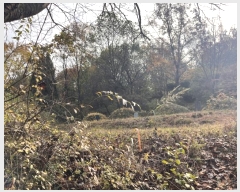  2024Ÿ88880  ֽ 浿 105-3       (Ӿ)