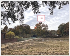  2024Ÿ88880  ֽ 浿 105-3       (Ӿ)