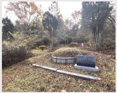  2024Ÿ88880  ֽ 浿 105-3       (Ӿ)