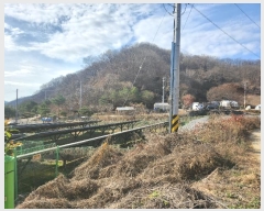  2024Ÿ��89302 ��� ��õ�� �ż��� �� ��248      ����(�Ӿ�)���