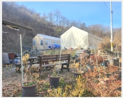  2024Ÿ��89302 ��� ��õ�� �ż��� �� ��248      ����(�Ӿ�)���