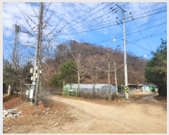  2024Ÿ��89302 ��� ��õ�� �ż��� �� ��248      ����(�Ӿ�)���