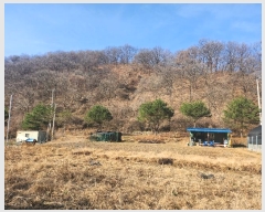  2024Ÿ��89302 ��� ��õ�� �ż��� �� ��248      ����(�Ӿ�)���