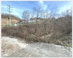  2024Ÿ��89753  �Ӿ߰��