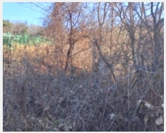  2024Ÿ��89753  �Ӿ߰��